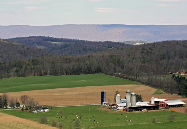 The Farm Down There